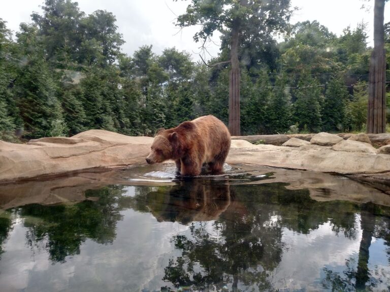 Akron Zoo