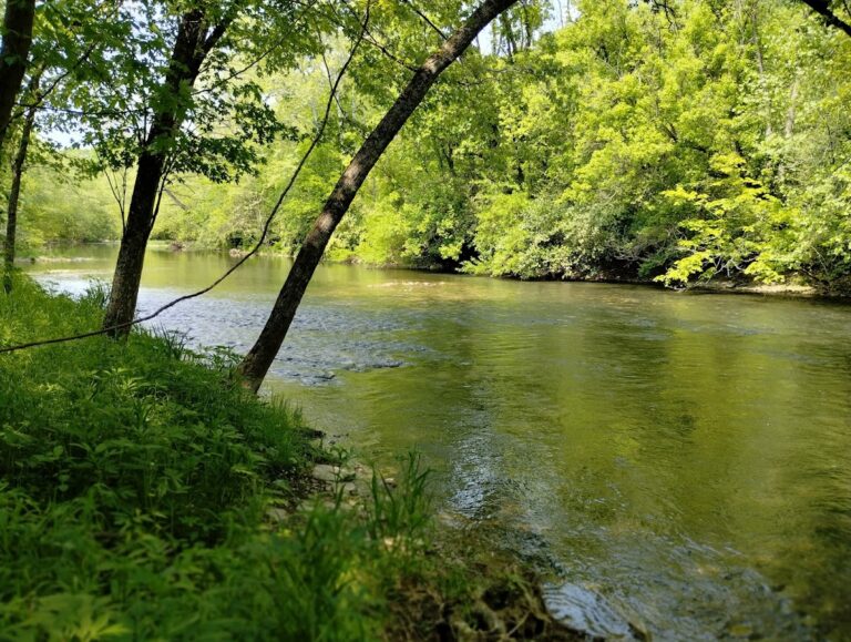 Caesar Creek Gorge State Nature Preserve