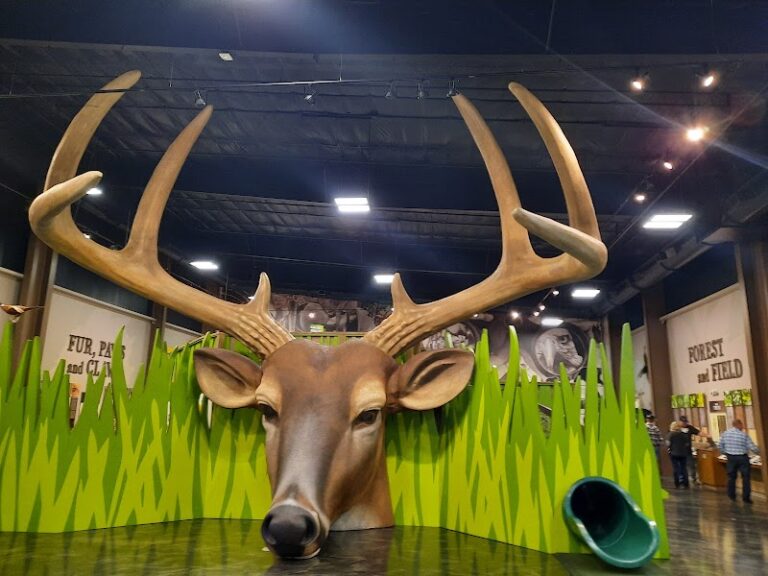 deer