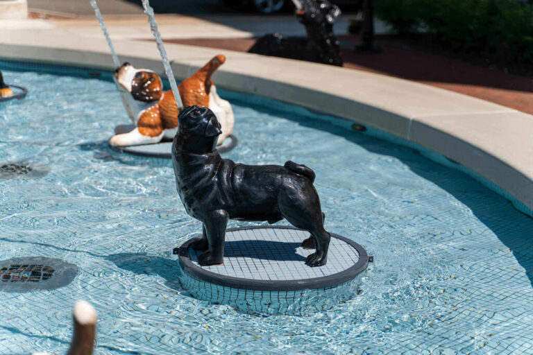 home, for rent, resident, for sale, x