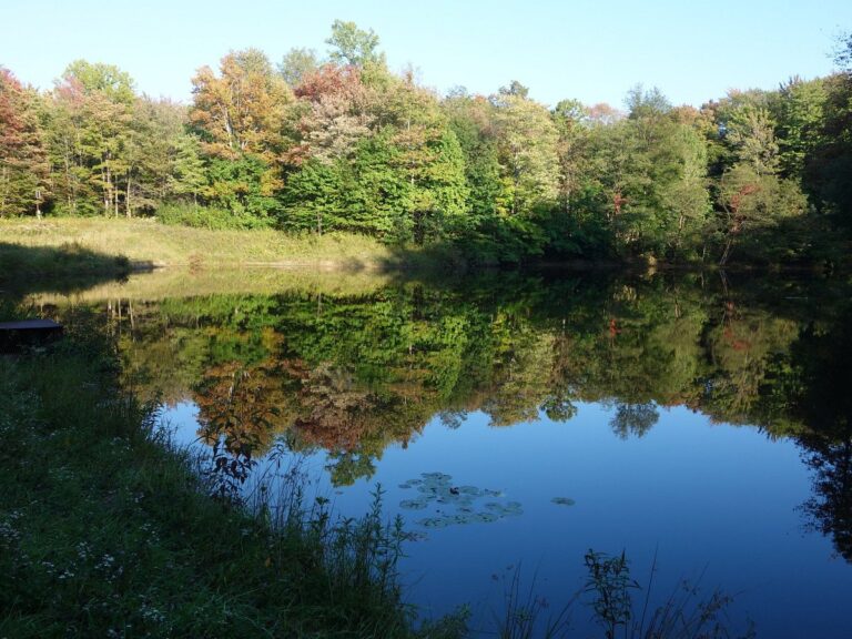 manufactured home community, rent, mobile home park, mhp, communities, apondalongoneofthe