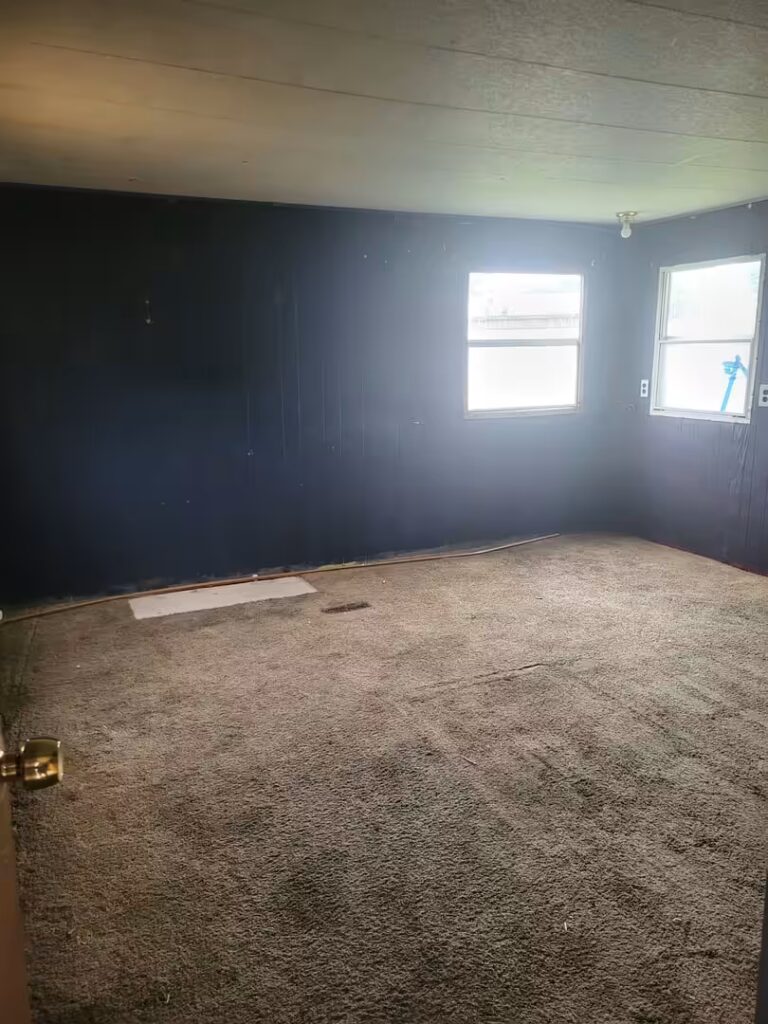 Empty room with dark blue walls, brown carpet, and two bright windows on the right wall.